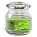 Yankee Candle&reg; Home Classics Jar Candle - Sunsweet Melon (7 oz)