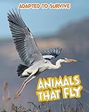 Animals that fly