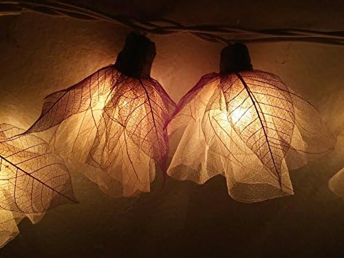 Thai Handmade 20 White Romantic Carnation Flower Fairy String Lights Party Floral Home Decor 3.5m.