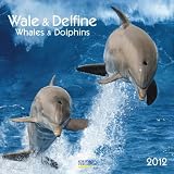 Produkt-Bild: Wale & Delfine 2012 / Whales & Dolphins Brosch&uuml;renkalender