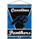 NFL Carolina Panthers Wall Banner, 40 x 28-Inch, Team Color