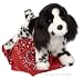 Springer Spaniel Plush Dog, 12 Inches - Feathers from Douglas