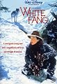 White Fang