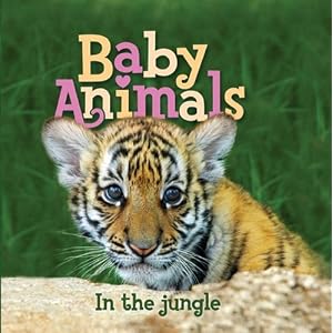 Baby Animals In the Jungle