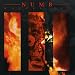 Numb-Wasted Sky