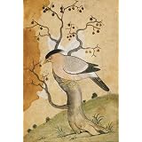 Black Headed Myna on a tree-trunk (Print On Demand)