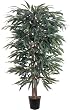 5' Weeping Ficus Silk Tree