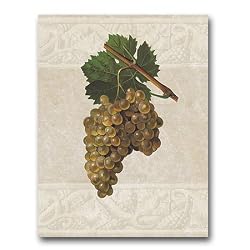 Harvest Grapes - Gift Enclosure Cards (set of 12)