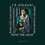 I'r Goleuni: Rhoddion Cymdeithas Celfyddyd Gyfoes Cymru i Amgueddfa ac Oriel Gelf Castell Cyfarthfa = Into the Light: Contemporary Art Society for Wales Gifts to Cyfarthfa Castle Museum and Art Galler