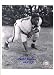 Bill Willis Autographed/Hand Signed Cleveland Browns 8x10 Photo with HOF 77 Inscription