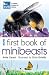RSPB First Book of Minibeasts