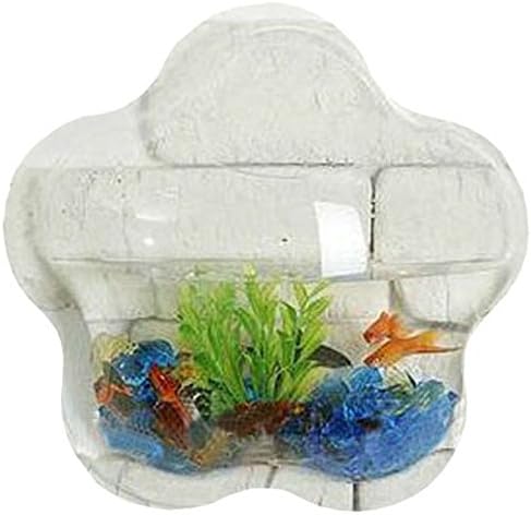 Wall Mount Fish Bowl, Star