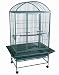 Brand New Parrot Bird Wrought Iron Cage Dome-Top w/ Parrot Toys 32x23x66-WI32HGNR - PT