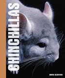 Chinchillas