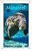 Manatees: Mermaids of the Sea (15-Minute Books)