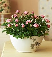 Rose Bowl