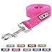 Pawtitas 6 FT Dog Leash - Comfortable Handle, Highly Reflective Threads, Heavy Duty Training Leash (Medium 6 FT)