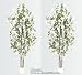 TWO 6.5' Wisteria Real Wood Trunks Artificial Trees each with approx. 105 flower clusters _White