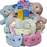 Double The Fun New Baby Gift Basket for Twin Boys (Boy/Boy=Blue/Blue)