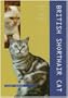 British Shorthair Cat