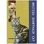 British Shorthair Cat