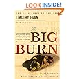 The Big Burn: Teddy Roosevelt and the Fire that Saved America