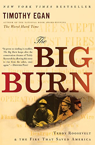 the big burn teddy roosevelt and the fire that saved america
