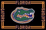 Florida Gators 4 x 6 Area Rug