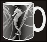 SEAHORSE SEA HORSE Coffee Mug  from Advanta