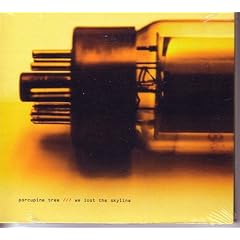 Porcupine Tree - We lost The Skyline