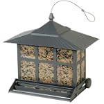 Birdscapes 351
