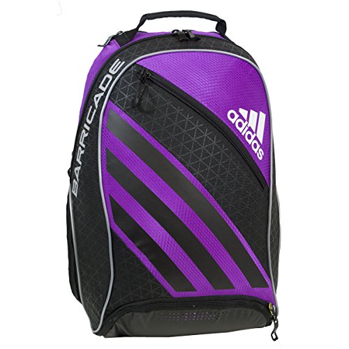 Top Best 5 Cheap tennis backpack for sale 2016 (Review) BOOMSbeat