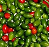 100 Chile Piquin Kipin Chile Del Monte Seeds - B001X1AW9Y