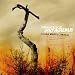 Classical Music : Provenzale: Requiem