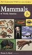 Peterson Field Guide to Mammals of North America: Fourth Edition (Peterson Field Guides)