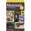 Peterson Field Guide to Mammals of North America: Fourth Edition