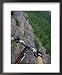View of the Forest from a Mountian Bike Framed Art Poster Print, 18x22
