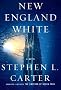 New England White: A Novel