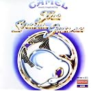  The Snow Goose