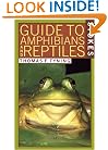 A Guide to Amphibians and Reptiles (Stokes Nature Guides)