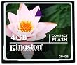Kingston 4 GB CompactFlash Memory Card CF/4GB Kingston 4 GB CompactFlash Memory Card CF/4GB