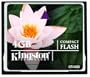 Kingston 4 GB CompactFlash Memory Card CF/4GB