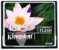 Kingston 4 GB CompactFlash Memory Card CF/4GB
