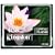 Kingston 4 GB CompactFlash Memory Card CF/4GB