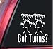 Got Twins? Girl/Girl White Vinyl Decal Sticker