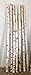 Wilson Decorative Birch Poles 8 Feet Long (2 Poles, 3''- 4'' Diameter)