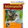 Katzensprache: Verhalten erkennen & verstehen