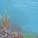 Disney Finding Nemo Paper 12X12 Open Stock-Underwater Left