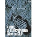 A PIECE OF REINCARNATION [DVD]