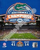 Florida Gators , 16x20